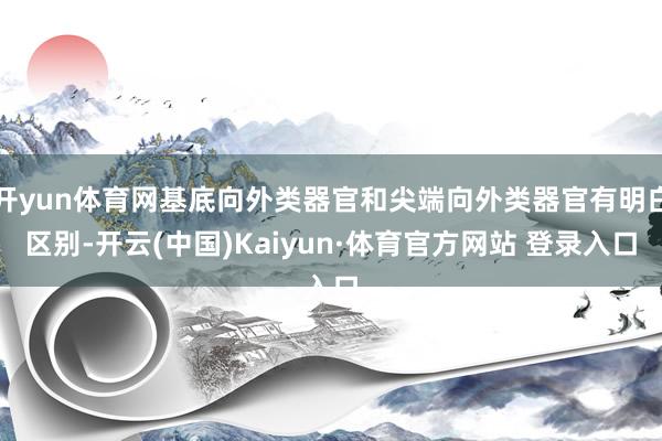 开yun体育网基底向外类器官和尖端向外类器官有明白区别-开云(中国)Kaiyun·体育官方网站 登录入口