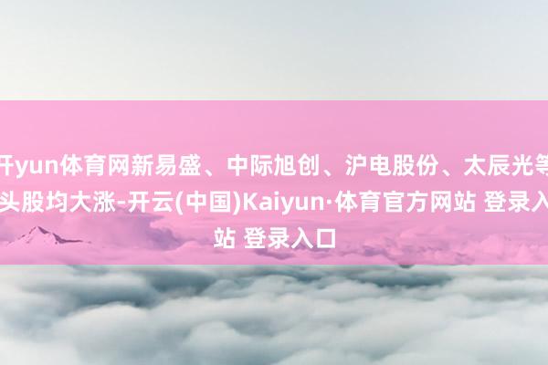 开yun体育网新易盛、中际旭创、沪电股份、太辰光等龙头股均大涨-开云(中国)Kaiyun·体育官方网站 登录入口