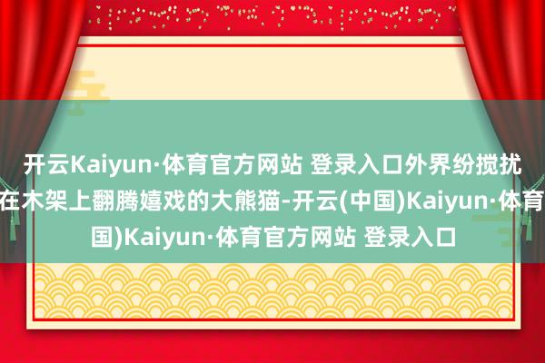 开云Kaiyun·体育官方网站 登录入口外界纷搅扰扰都与之无关;有在木架上翻腾嬉戏的大熊猫-开云(中国)Kaiyun·体育官方网站 登录入口
