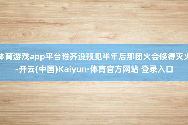 体育游戏app平台谁齐没预见半年后那团火会倏得灭火-开云(中国)Kaiyun·体育官方网站 登录入口