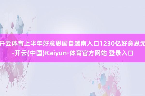 开云体育上半年好意思国自越南入口1230亿好意思元-开云(中国)Kaiyun·体育官方网站 登录入口
